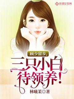 Gu Shao stays behind, three little whites are waiting to be adopted!