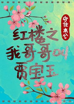My brother's name is Jia Baoyu