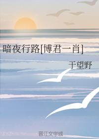 Walking in the Dark Night [Bo Jun Yi Xiao]